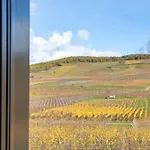 Feriehus Kientzheim - Le Coeur Des Vignes