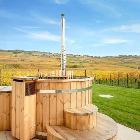 Kientzheim - Le Coeur Des Vignes Vakantiehuis Kaysersberg-Vignoble