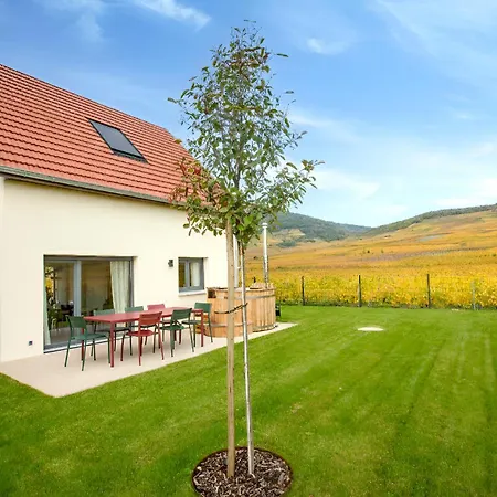 Kientzheim - Le Coeur Des Vignes Vakantiehuis Kaysersberg-Vignoble