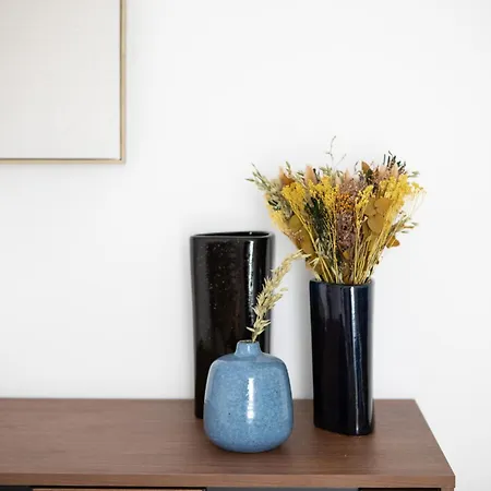 Kientzheim - Le Coeur Des Vignes Vakantiehuis Kaysersberg-Vignoble