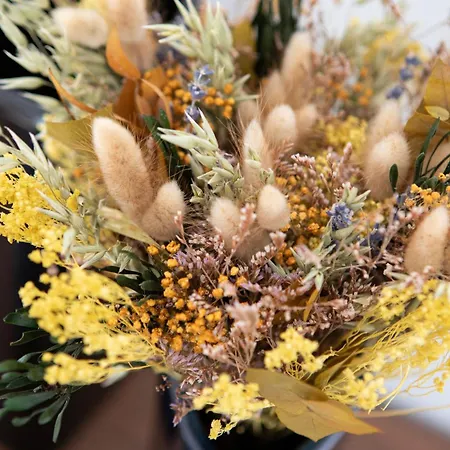 Vakantiehuis Kientzheim - Le Coeur Des Vignes