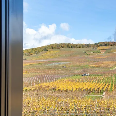 Vakantiehuis Kientzheim - Le Coeur Des Vignes